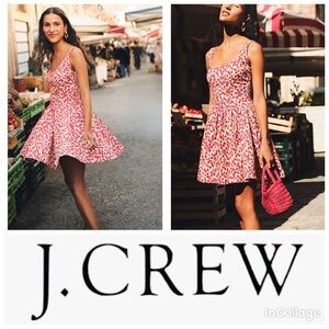 J. Crew Raspberry Print Fit and Flare Mini Dress